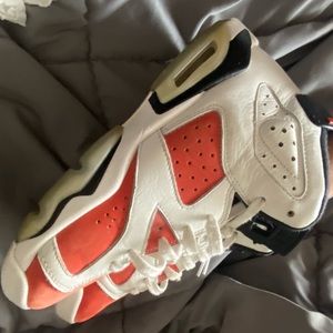 Jordan 6 Retro Gatorade
